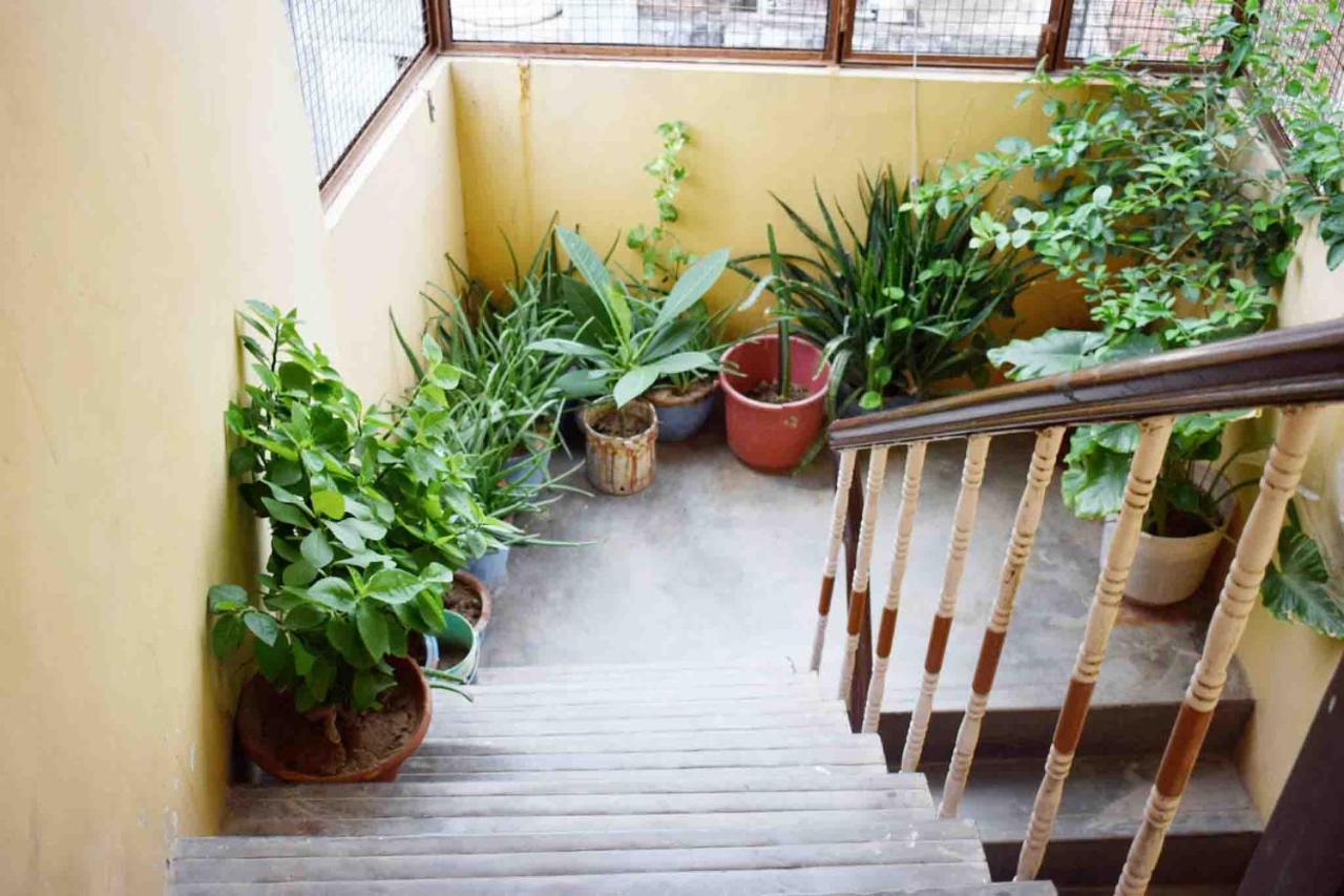 Family Guest House Varanasi Exteriör bild